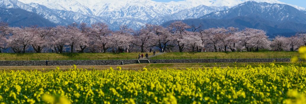 2026年春休み練習のご案内