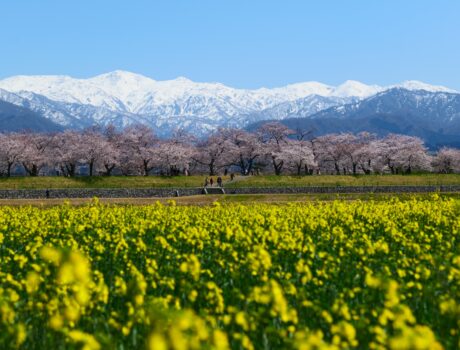 2026年春休み練習のご案内
