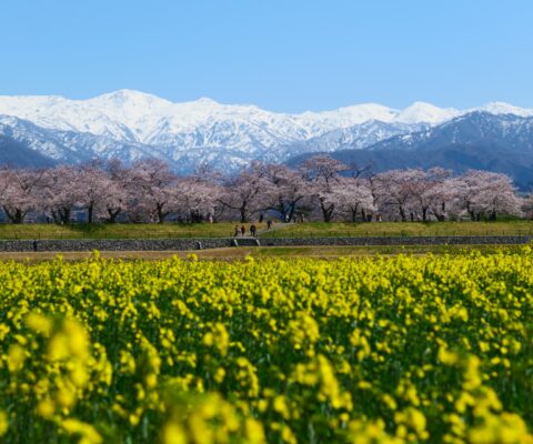 2026年春休み練習のご案内