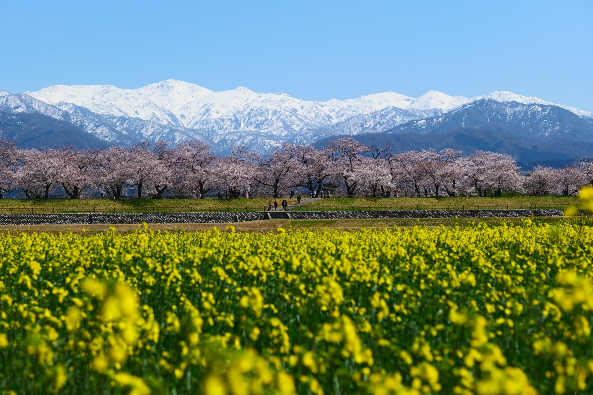 2026年春休み練習のご案内